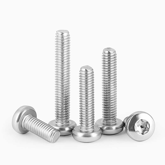 Stainless Steel Pan Head Anti Theft Machine Screw ISO14583