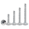 Stainless Steel Large Flat Head Drill Screw Self Drillng Screws