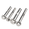 Stainless Steel Hex Nut Sleeve Anchor Expansion Bolt